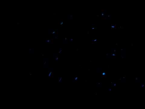 image-What happens to particles in ice?