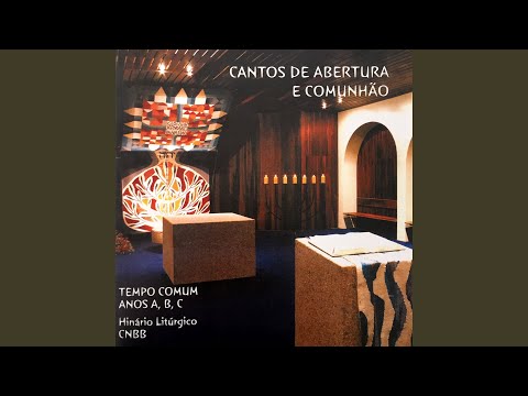 VÓS SOIS O CAMINHO (18º Domingo - Ano B) - CATÓLICA