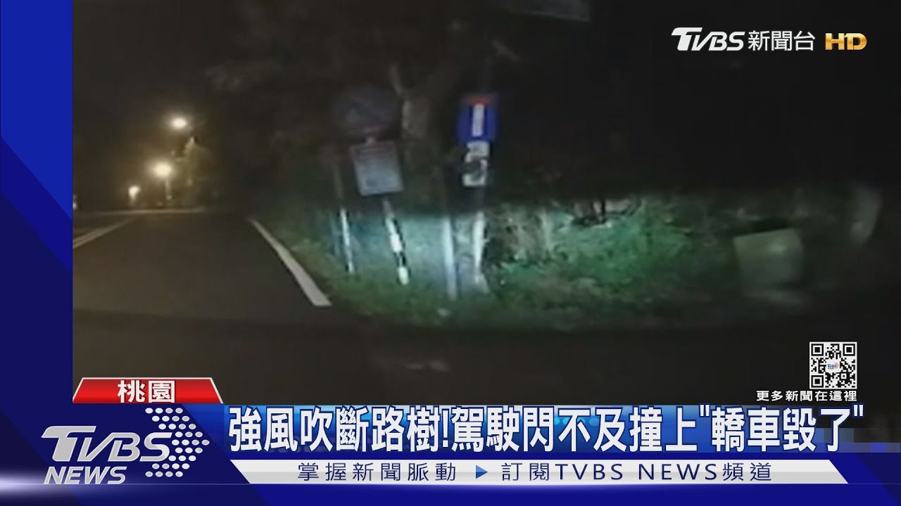 強風吹斷路樹!駕駛閃不及撞上「轎車毀了」