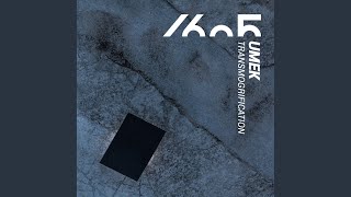 Descending into Chaos (Original Mix)