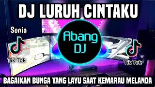 Download lagu DJ LURUH CINTAKU BAGAIKAN BUNGA YANG LAYU SAAT KEM... mp3