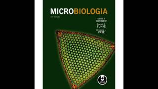 LEITURA DO LIVRO DE MICROBIOLOGIA -  BRUNA RIBEIRO - TAL