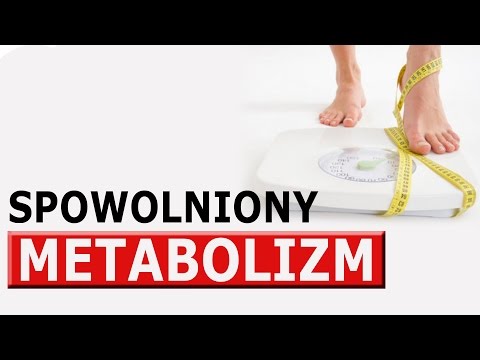 Struktura i właściwości fizjologicznych mięśni Nacisnąć na paskach, które mięśnie