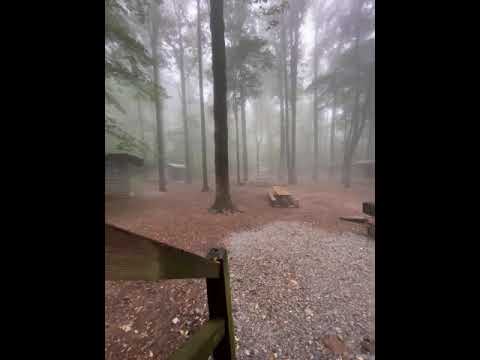 Campsite in the fog