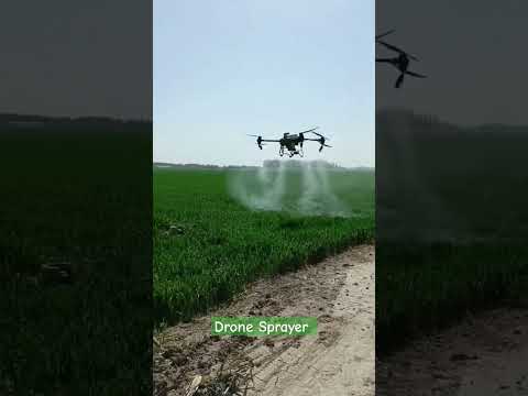 ड्रोन ने शेत फवारणी करणे🌾👳 | Spraying fields with drones|ड्रोन से खेतों में छिड़काव #shorts #viral