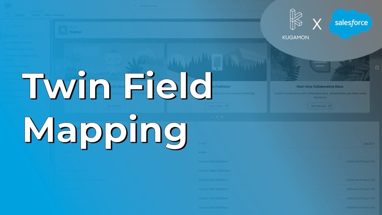 Twin Field Mapping #administration