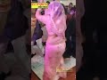 उठो री धन मगरे पे बोल गयो कऊआ