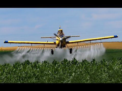 Crop duster agplane flying action Conger Minnesota Air Tractor Bell 206 Jet Ranger Airailimages