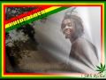 Peter Tosh - Here Comes The Sun