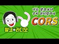 웹개발 짜증유발자 CORS가 뭔가요