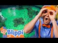 Blippi Visits An Aquarium Ody Aquarium Blippi Kids Playground Educational Videos For Kids