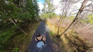 Gavan Hill Trail: Baranof St Trailhead > First viewpoint