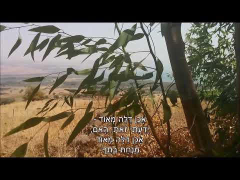 שיר עד - אל ארצי (לא שרתי לך ארצי) - מילים: רחל | לחן וביצוע: אברהם פררה, 1985 - Avraham Perrera