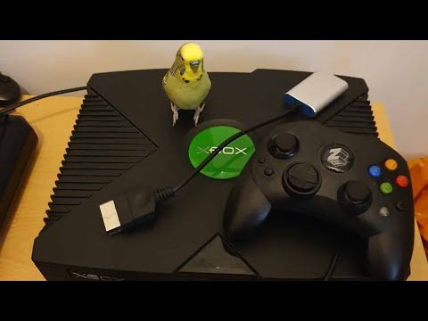 Kaico Labs Xbox HDMI Adapter Prototype Preview