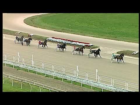 Trotto 29/01/2021 - prova di qualifica