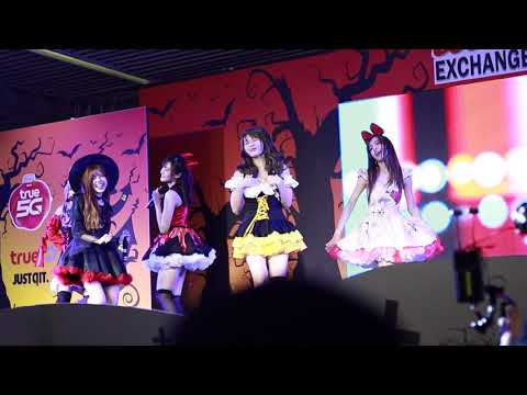 Roller Coaster - Shining Star