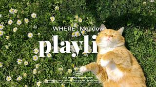 Download lagu 𝐏𝐥𝐚𝐲𝐥𝐢𝐬𝐭 | It's Spring Meow🐈💛 Spring vibes from the first note🌼 Essential Spring Lofi Cafe Music mp3
