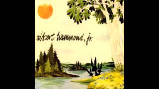 Albert Hammond Jr - Well.. All Right