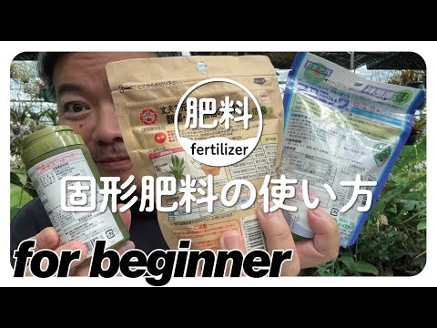 キョウチクトウに適した肥料 植物