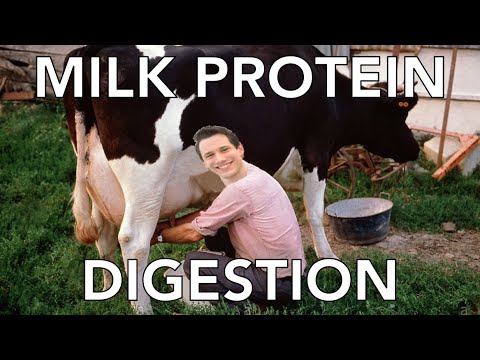 Not all casein protein is equal?