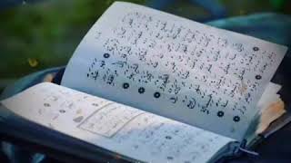 Download lagu STORY WA MANAQIB AL-KHIDMAH KEREN mp3 Download lagu STORY WA MANAQIB AL-KHIDMAH KEREN mp3