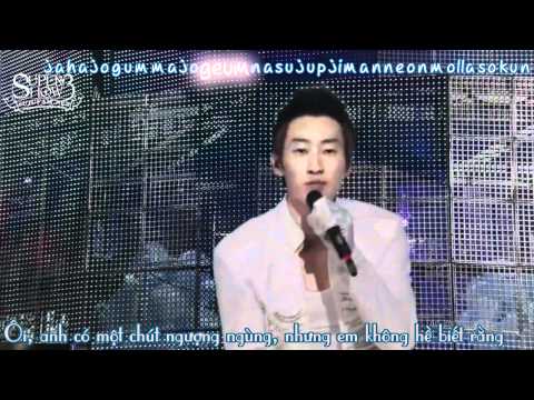 [SJF Vietsub + kara] Super Junior - Super Show 3 in Japan - No other (OFFICIAL)