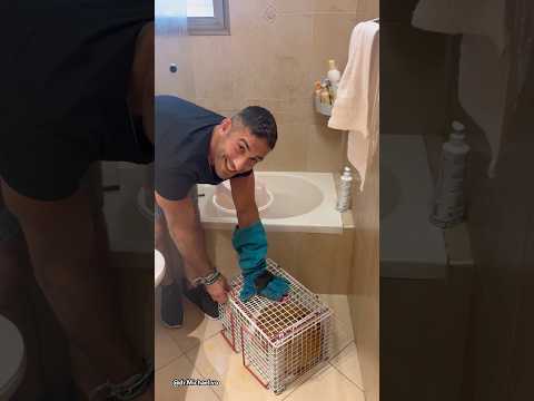 One of the strongest opinions🐈 #crazycatfunny #cat #crazylady #crazycatvideos #animals