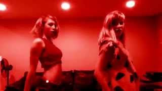 &quot;Because We Can&quot; Fan Video