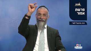 מסר לפרשת אמור הרב מיכאל לסרי (הרב מיכאל לסרי) - התמונה מוצגת ישירות מתוך אתר האינטרנט יוטיוב. זכויות היוצרים בתמונה שייכות ליוצרה. קישור קרדיט למקור התוכן נמצא בתוך דף הסרטון