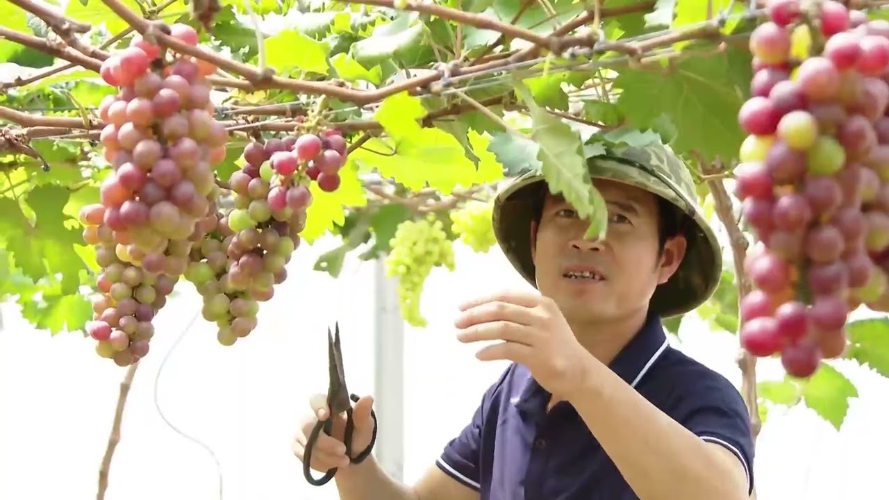 Diện mạo nông thôn Nghệ An hôm nay