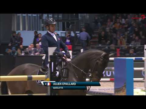 Queeletta *2008 by Quality x Landor S (CSI5* Bordeaux)