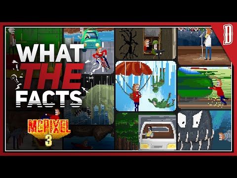 What the Facts: McPixel 3