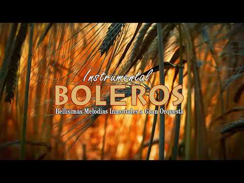2 Horas Los Boleros Mas hermosos De Tu Vida Perfecta - Instrumento de Oro de por vida