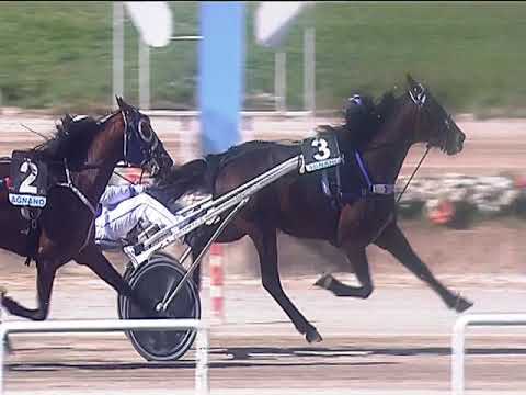 Trotto 07/04/2019 - 4ª corsa