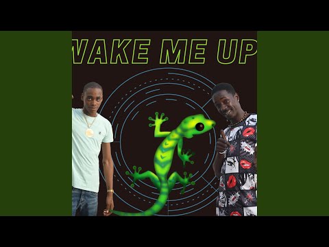 Wake me up (feat. Nice & Gwada G)