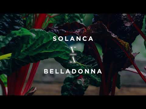 Solanca - Belladonna