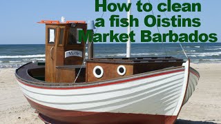 preview picture of video 'How to clean a fish | Barbados  | Oistins | Cleaning Flying Fish'