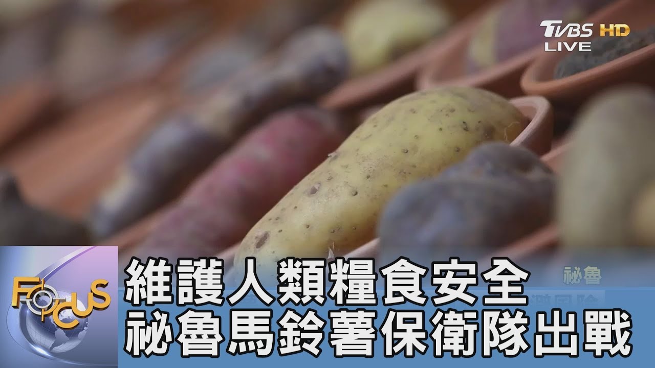 維護人類糧食安全 祕魯馬鈴薯保衛隊出戰
