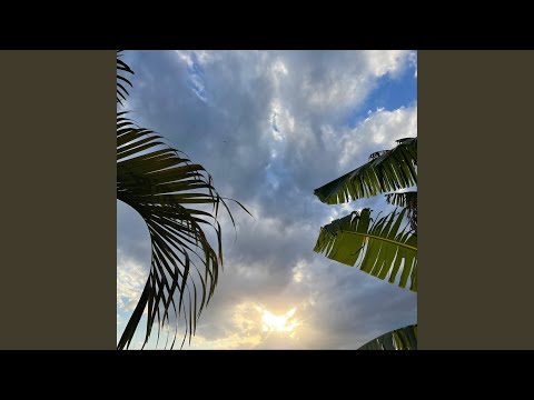 Tiki Tiki Lebolicua Parodia