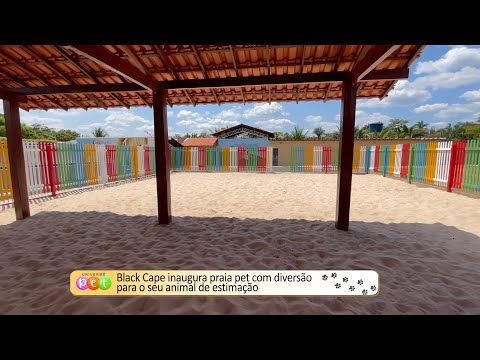 Black Cape inaugura praia pet com diversão para o seu animal de estimação 03 10 2022