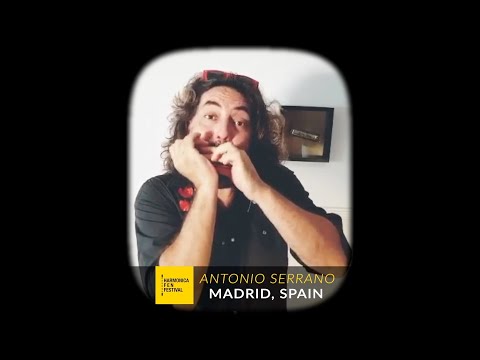 HARMONICA F E N FESTIVAL 2022 - ANTONIO SERRANO