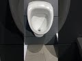 Відео огляд Пісуар Geberit Selnova 500.344.01.1