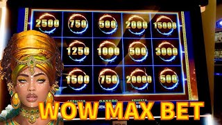 SLOT EPIC KINGDOM MAX BET 880 #bonus #bigwin #casino #kingdom #jackpot #trending #slots Video Video