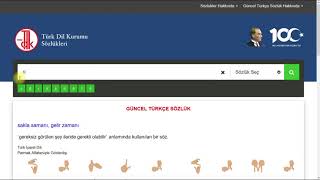 HOW TO USE ONLINE TURKISH DICTIONARIES EFFICIENTLY - TURKISH DICTIONAR