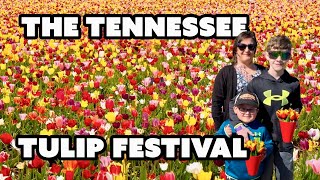 THE TENNESSEE TULIP FESTIVAL | Lucky Ladd's Farm in Eagleville, Tennessee