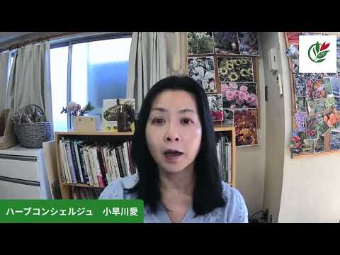 医療ビジネス薬科学科 ハーブおでんを解説