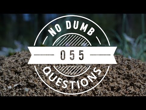 No Dumb Questions 055 - Internet Manipulation and Countermeasures