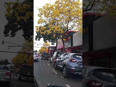 Maravilhas da natureza #ourinhos