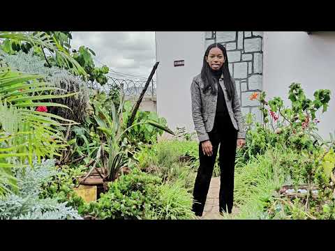 Haingo,Harimanitra,Herihaja (Kio Kio Kio BARIJAONA)