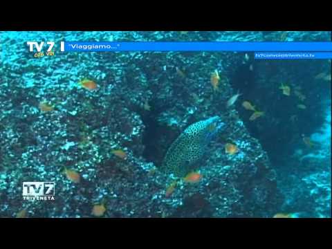 Tv7 con Voi del 23/04/2015 - Viaggiamo (3 di 3)